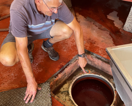 Gilles Coperet: jus de raisin Fleurie La Madone in een cuve onder de grond