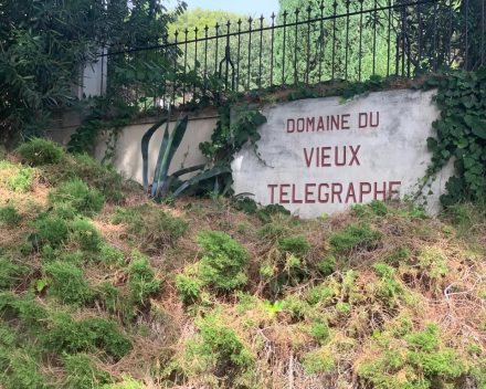 Domaine du Vieux Télégraphe