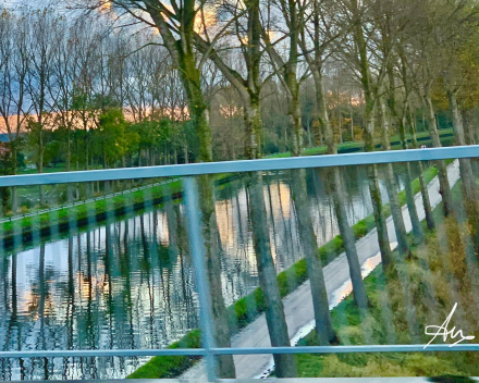 de nukkigheid van de herfst in foto's