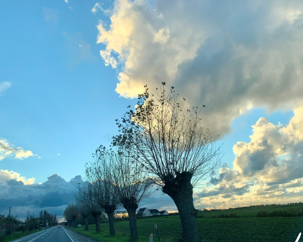 de nukkigheid van de herfst in foto's