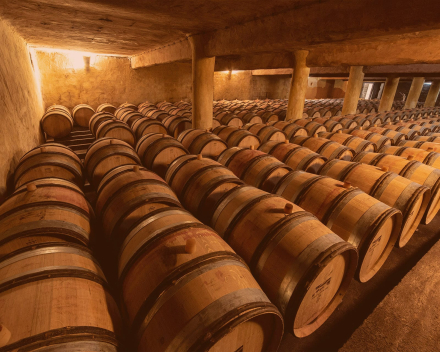 Prachtige recensie voor de Daumas Gassac 2011