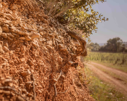 Mas de Daumas Gassac    