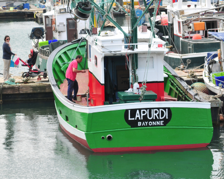 Bouillabaisse van de Noordzee of van la Côte Basque? Of beiden?