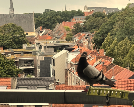 Goed nieuws vanuit de kraaminrichting!