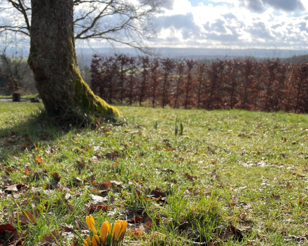 Zon, regen, wind... de natuur vecht met zichzelf maar blijft steeds mooi