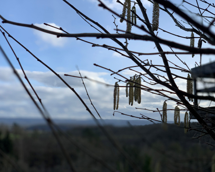 Zon, regen, wind... de natuur vecht met zichzelf maar blijft steeds mooi