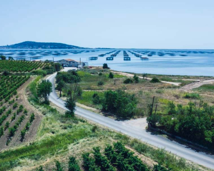 de Faune 2024 arriveert woensdag