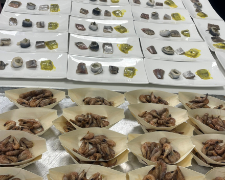 Koetong in madeirasaus op d presentatie 'de Wondere Wereld van Vis en Vissers'?
