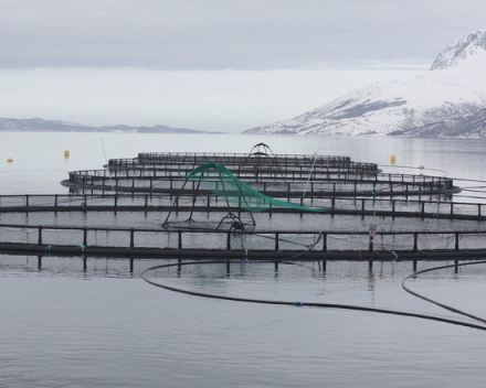 Over aquacultuur