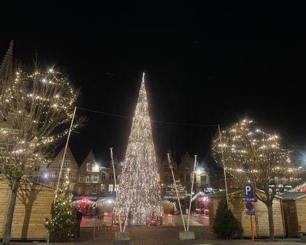 Nieuwjaarsdag: 'Flippen in het Hazekasteel en de Sint-Joris