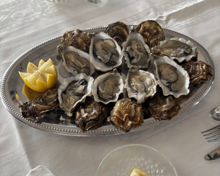 VIP behandeling: Oesters degusteren en voetbal kijken