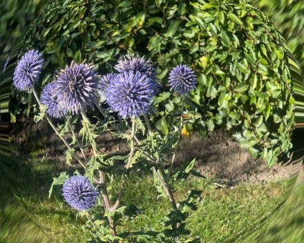 Met mijn fotografe op stap