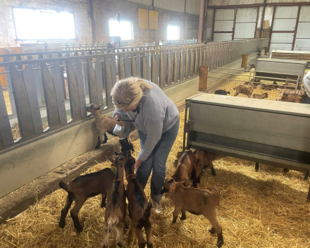 2de dag van onze reis La Ferme de Ribatels bij Aurélie en Nicolas