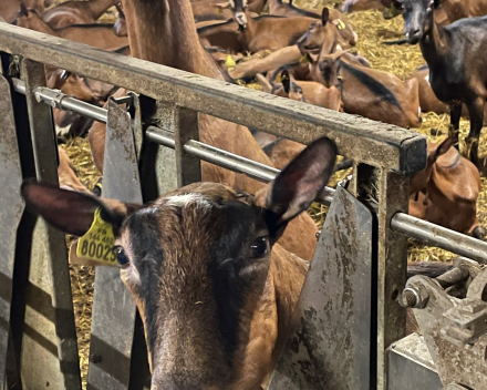 2de dag van onze reis La Ferme de Ribatels bij Aurélie en Nicolas