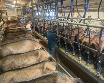 2de dag van onze reis La Ferme de Ribatels bij Aurélie en Nicolas