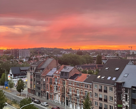 Voluit gaan voor een nieuwe heup, daarna weer normaal stappen, lopen, springen..?