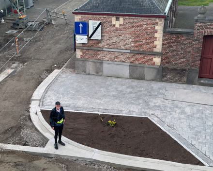 De Groenestraat fleurt beetje bij beetje op !