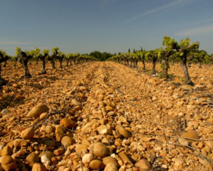 Merlot Grange Philippe - Antonin Grès Saint Paul: 2 oudbekenden worden onze nieuwste aanwinst