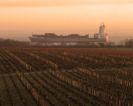 Chateau Sociando Mallet   Haut-Medoc 2016  cru bourgeois exceptionel -  €42.50 btw in