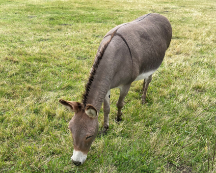 Mooie wandeling van de Hoge Dijken afgerond met een beloning