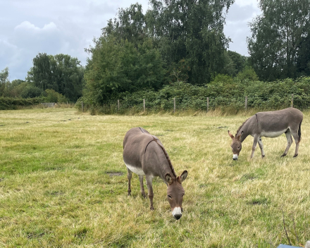 Mooie wandeling van de Hoge Dijken afgerond met een beloning