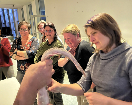 enthousiaste dames keuren de mooie meid