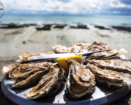 Eerste dag van het oesterweekend: een geslaagd rapport