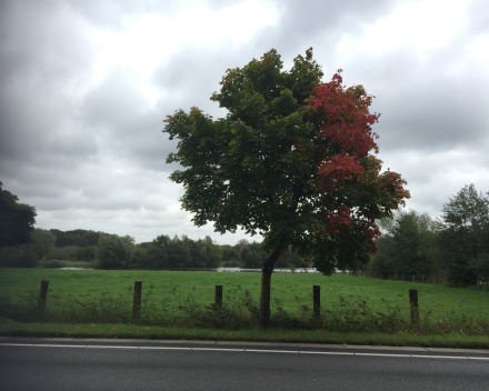 Genieten van de herfst