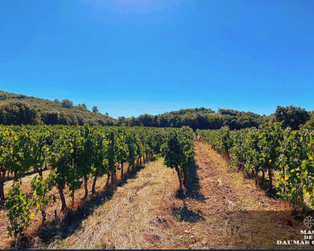 Faune   Moulin de Gassac  IGP de l'Hérault 2019   € 8.80 btw inb.