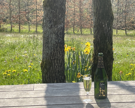 Dag 3 in de Ardennen