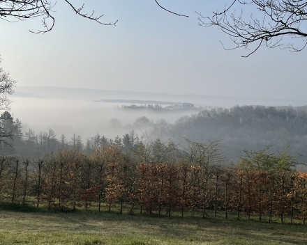 Dag 3 in de Ardennen