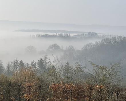 Dag 3 in de Ardennen