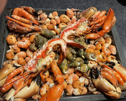 En fruits de mer als beloning
