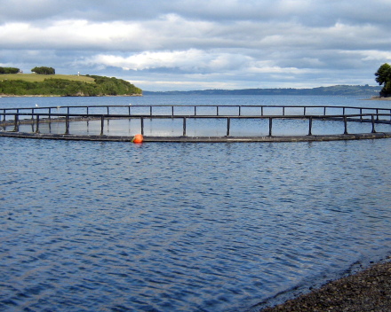 Over aquacultuur