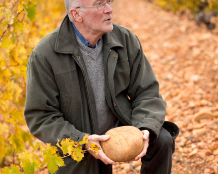 Domaine Grès Saint Paul / Muscat de Lunel AOP / Sevillane