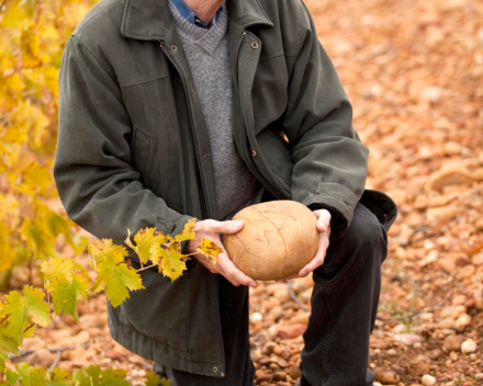 Grès Saint Paul - Cuvee Antonin - AOP Coteaux du Languedoc