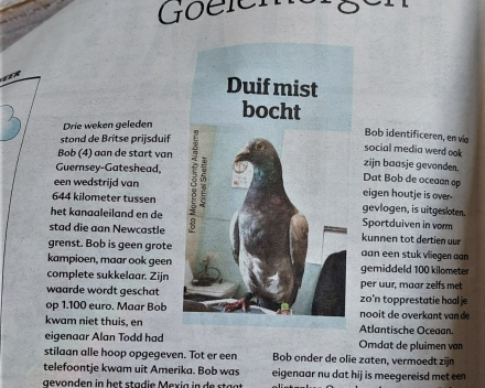 De nog straffere toeren die Bob, de collega van Jori uithaalde