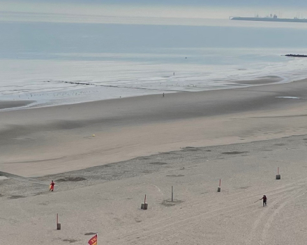 Iets gevonden op het strand?