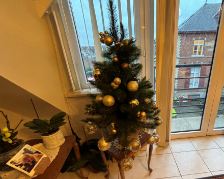 Hilde bezorgt ons een warme kerst