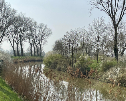 De voorbije week in woord en beeld