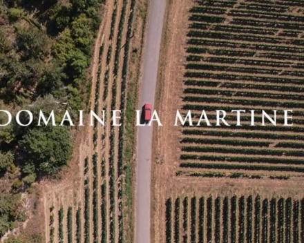 Domaine La Martine / Cuvee Les Pyrenees / IGP Pyrenees