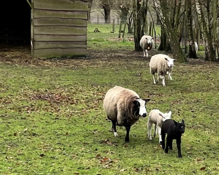 De voorbije week in woord en beeld