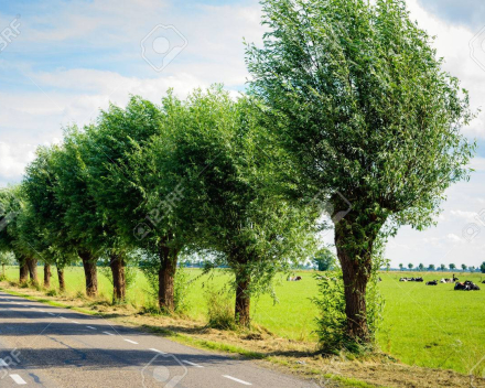 Technisch mankement of menselijk falen / deel I