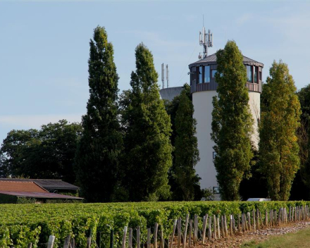 Pouilly Fumé  AOP Les Adelins  Domaine Bouchié - Chatellier