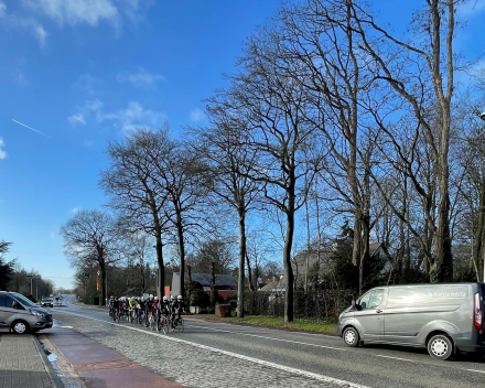 Eerste te vroege(?) geutje lente