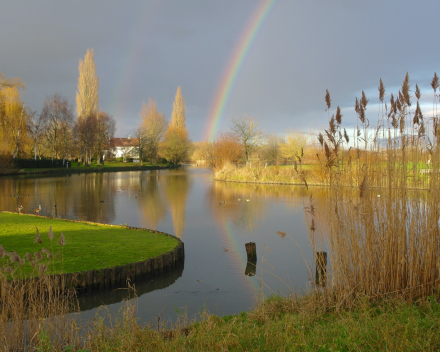 De voorbije week in woord en beeld
