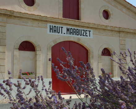 Primeurwijnen die verwacht worden / Chateau Haut Marbuzet 2019 AOP Saint-Estephe