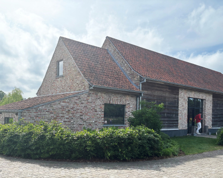 Het kommuniefeest van Lusia