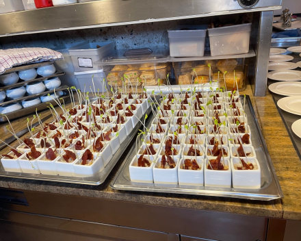 Nieuwe keuken installatie in La Maison du Terroir