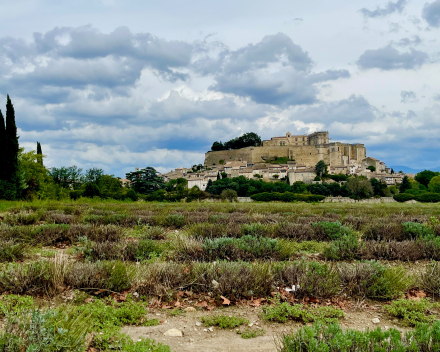 Domaine de Montine / Grignan-les-Adhemar AOP / Caprice Gourmandise